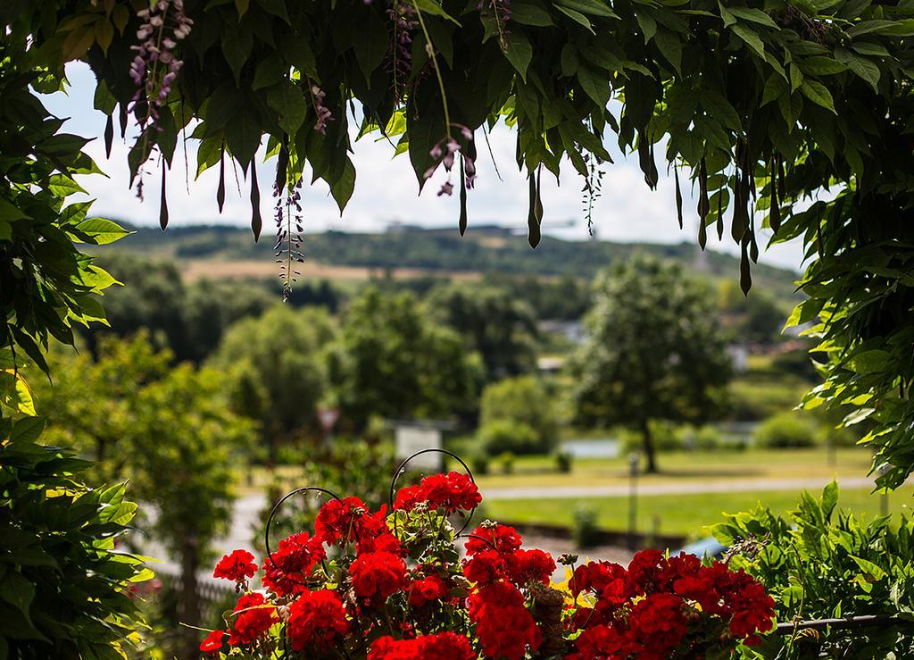 Hotel Zehnthof Urzig Bagian luar foto